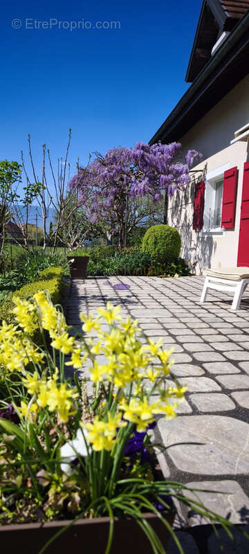 Maison à MESSERY