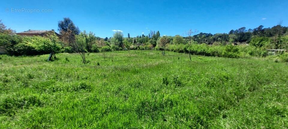 Terrain à TOURVES