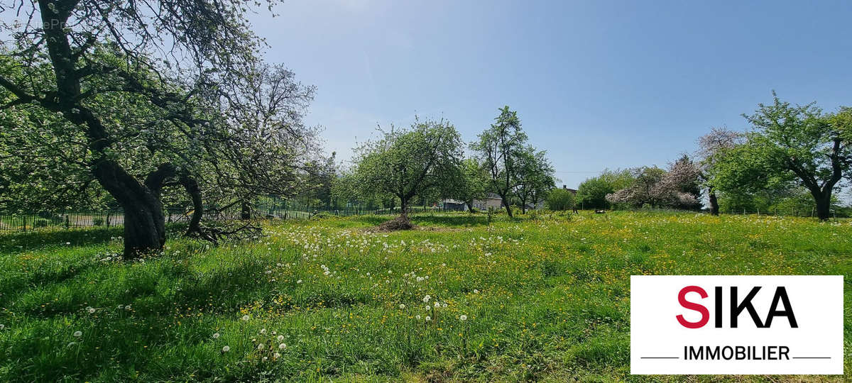 Terrain à SAINT-JEAN-KOURTZERODE