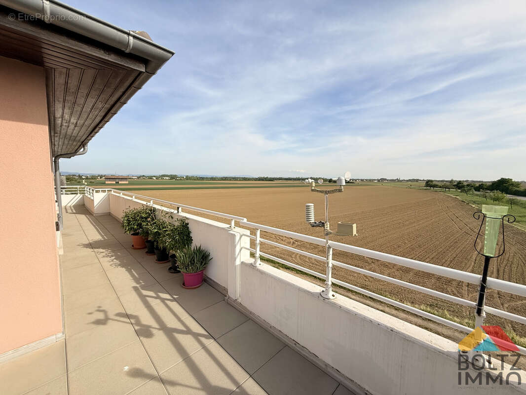 Appartement à ERSTEIN
