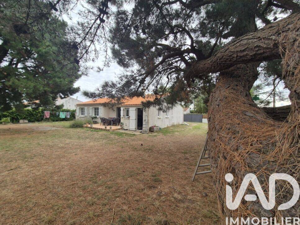 Photo 1 - Maison à SAINT-VINCENT-SUR-JARD