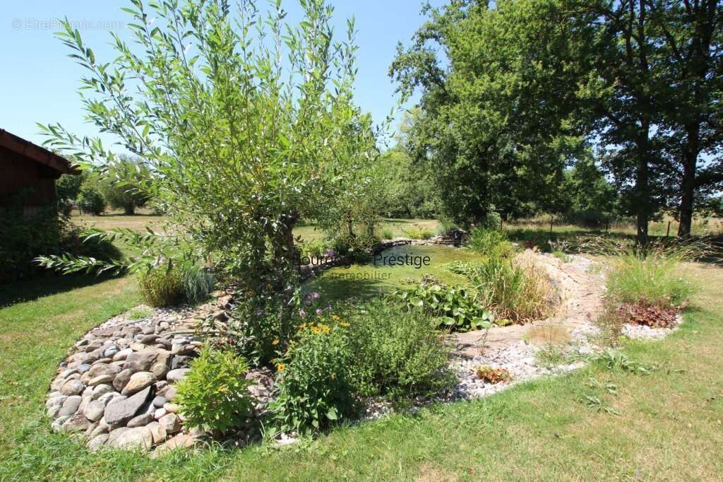 Belle longere des annees 1950 de 174 m² avec dependances, terrain de 3794 m² et mare - photo 7