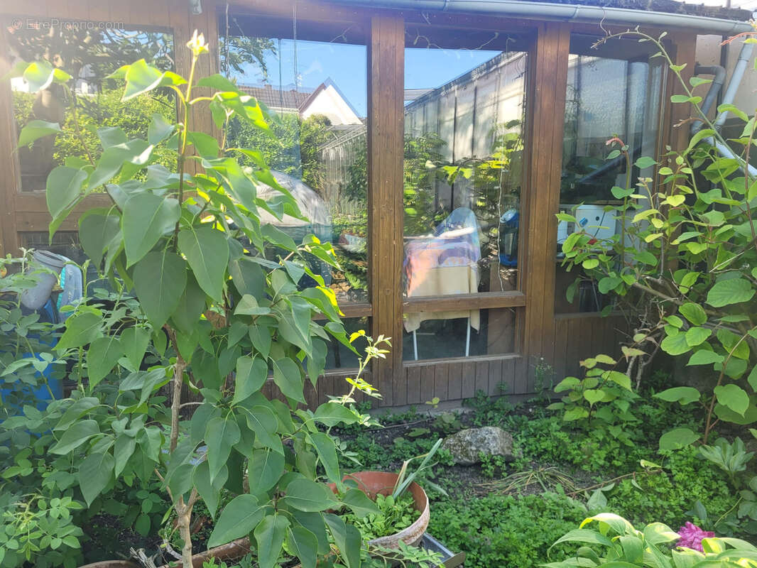 Maison à VILLAGE-NEUF