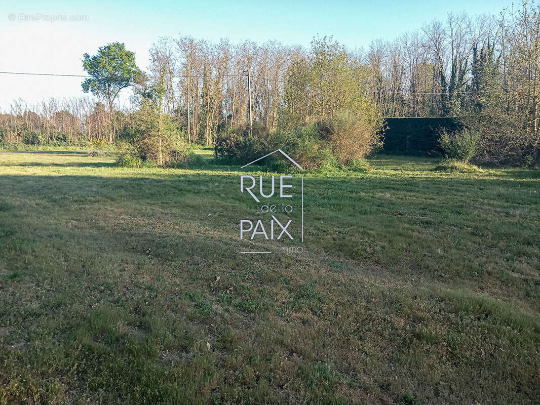 Terrain à COLOMBIERS