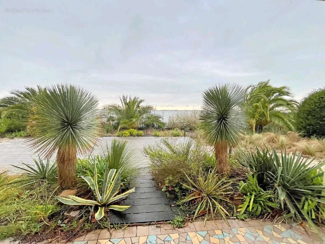 Maison à LEGE-CAP-FERRET