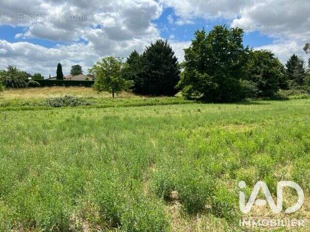 Terrain 3121 m² à Montaut  - photo 4