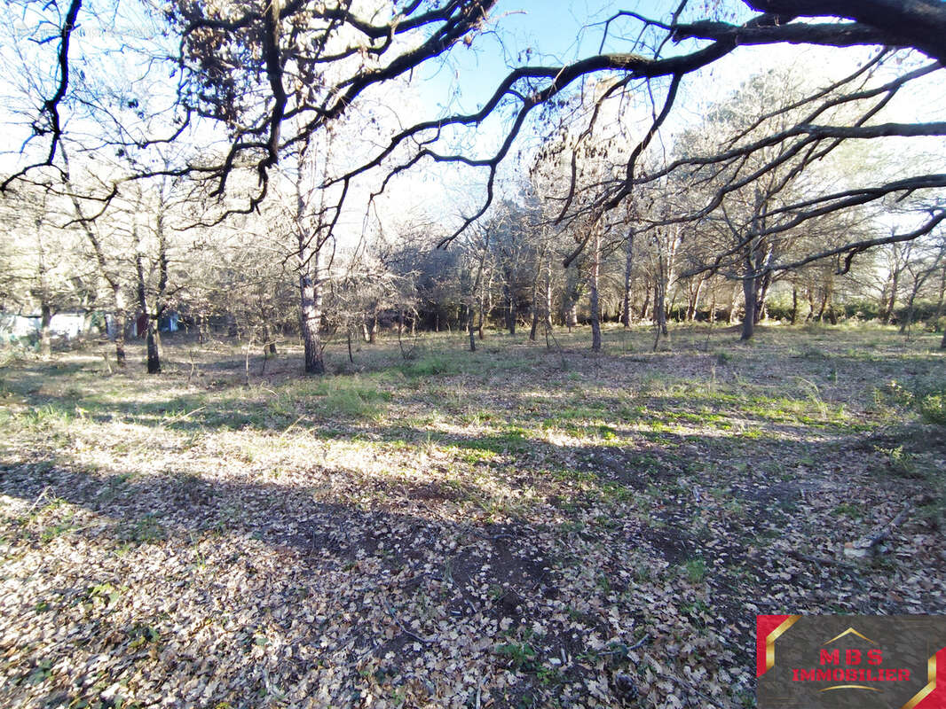 Terrain à ARGELES-SUR-MER