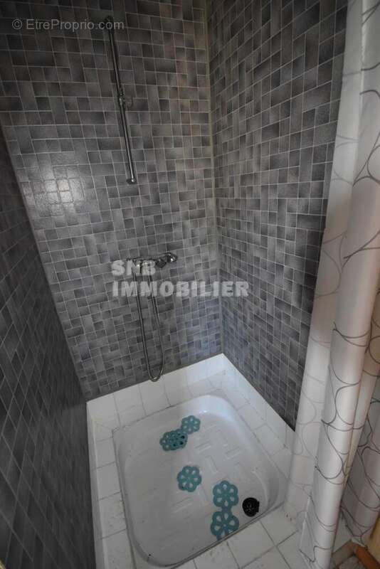 Maison plain pied t3 + studio + deux garages - photo 10
