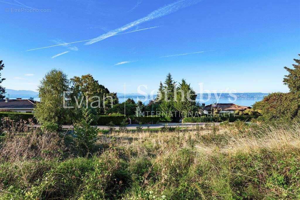 Maison à NEUVECELLE