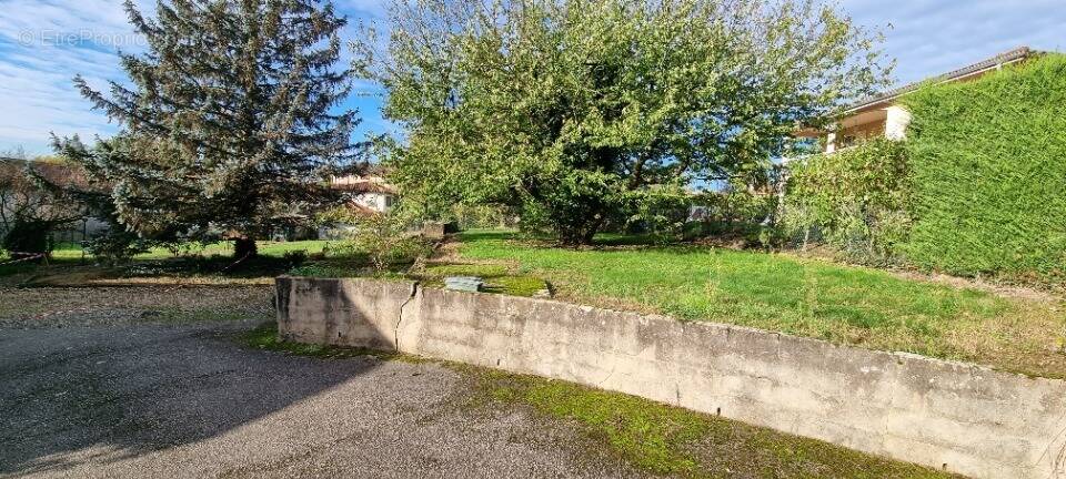 Terrain à ARS-SUR-FORMANS