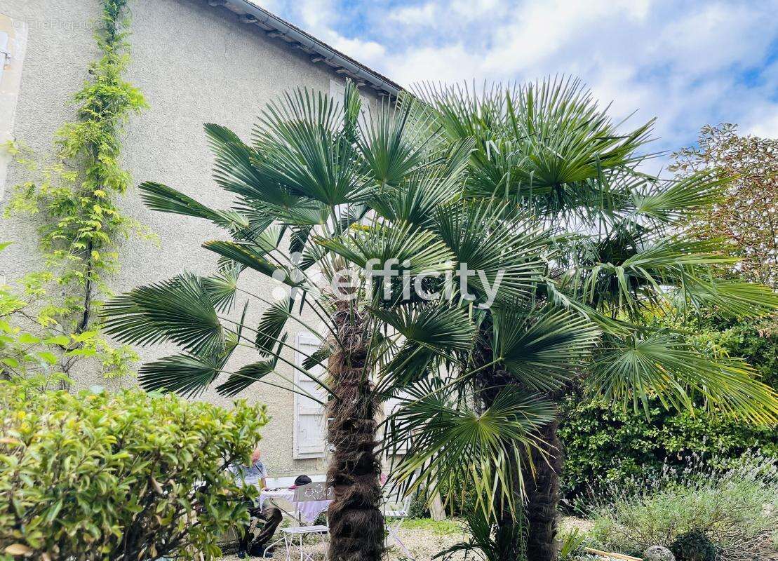Maison 329 m² à Fontaine-Chalendray  - photo 4