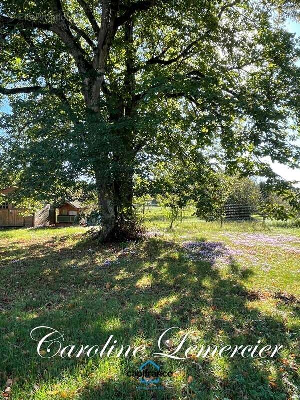 Maison à LA FERTE-BERNARD