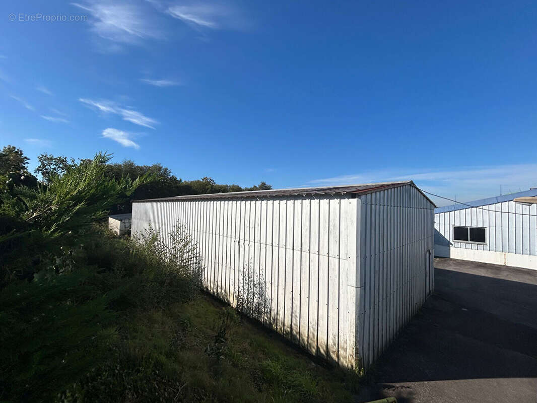 Commerce à DOUARNENEZ