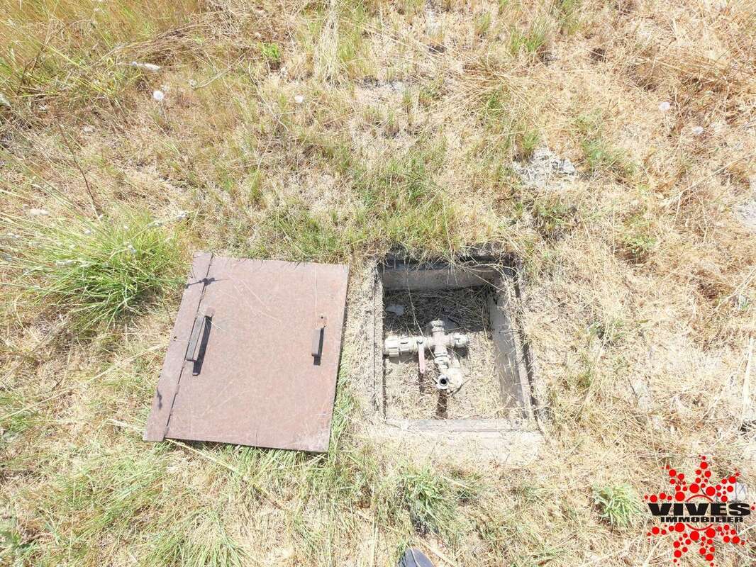 Exceptionnel : Truffière en production sur 2,2 hectares aux portes de Béziers - photo 15