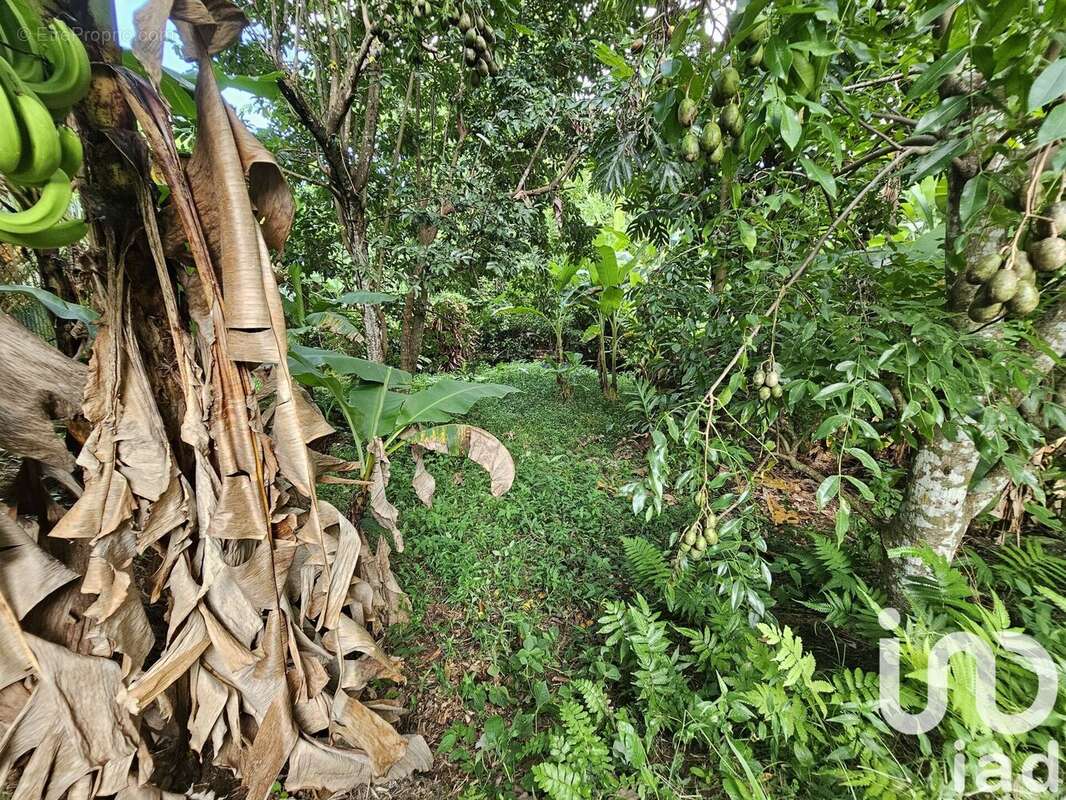 Photo 3 - Terrain à LE LAMENTIN