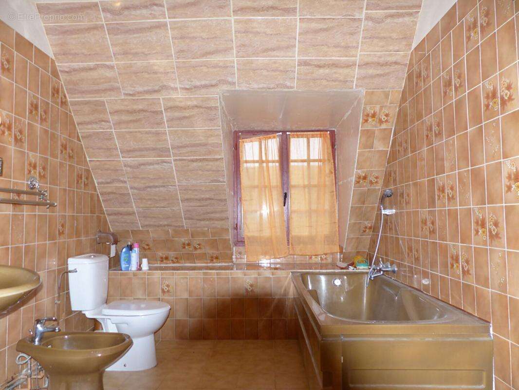 Maison à CHATILLON-COLIGNY