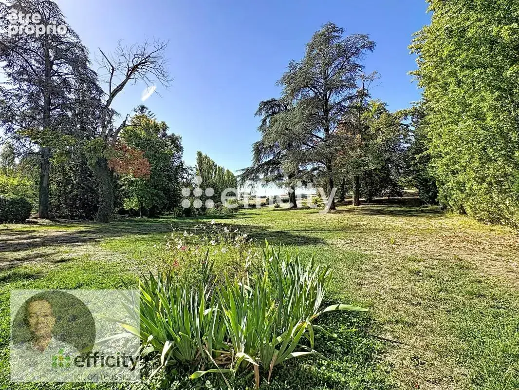 Propriété - photo 15
