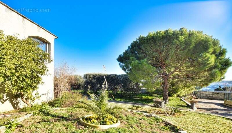 Bouzigues – Vue exceptionnelle sur le Mont Saint-Clair - photo 10