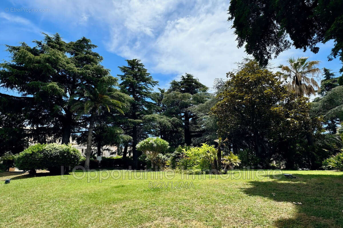 Appartement 27 m² à Cannes  - photo 5