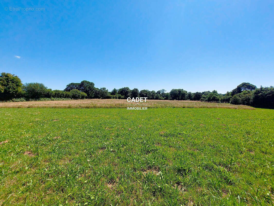 Terrain à LA HAYE-PESNEL