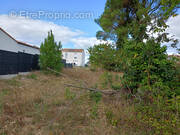 Terrain à LE PELLERIN