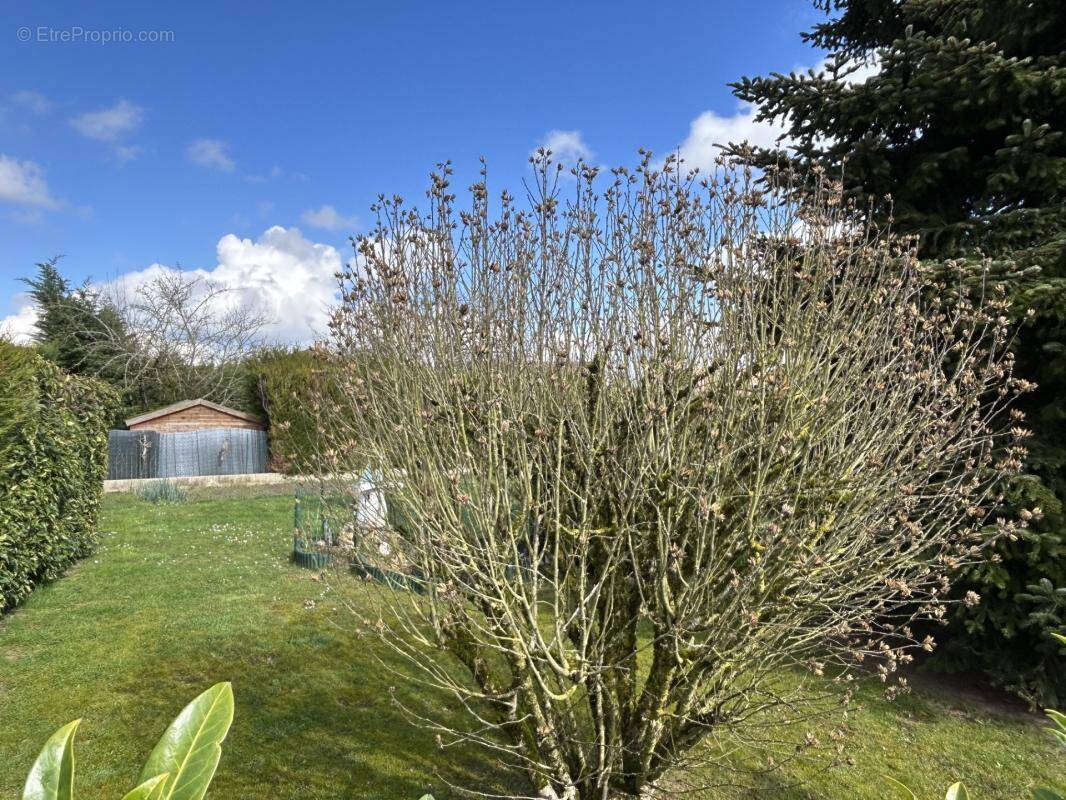 Terrain à BAILLY-ROMAINVILLIERS