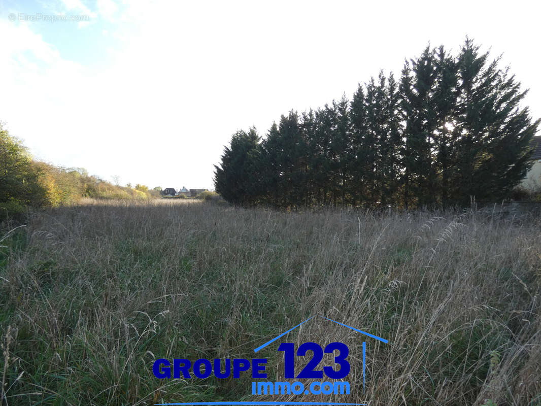 Terrain constructible - photo 3