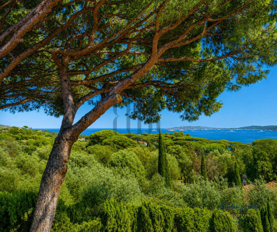 Grimaud   guerrevieille   propriété de caractère avec vue mer à quelques pas des plages - photo 4