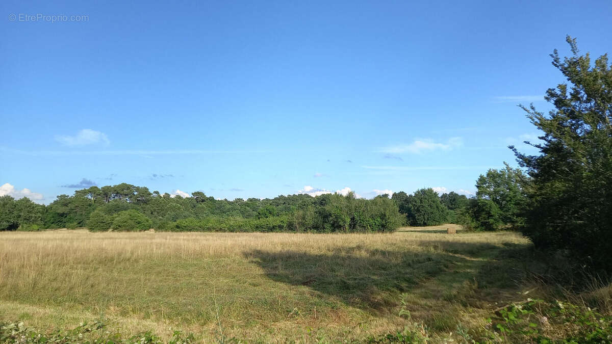 Terrain 1400m² à montpon-ménestérol - photo 2
