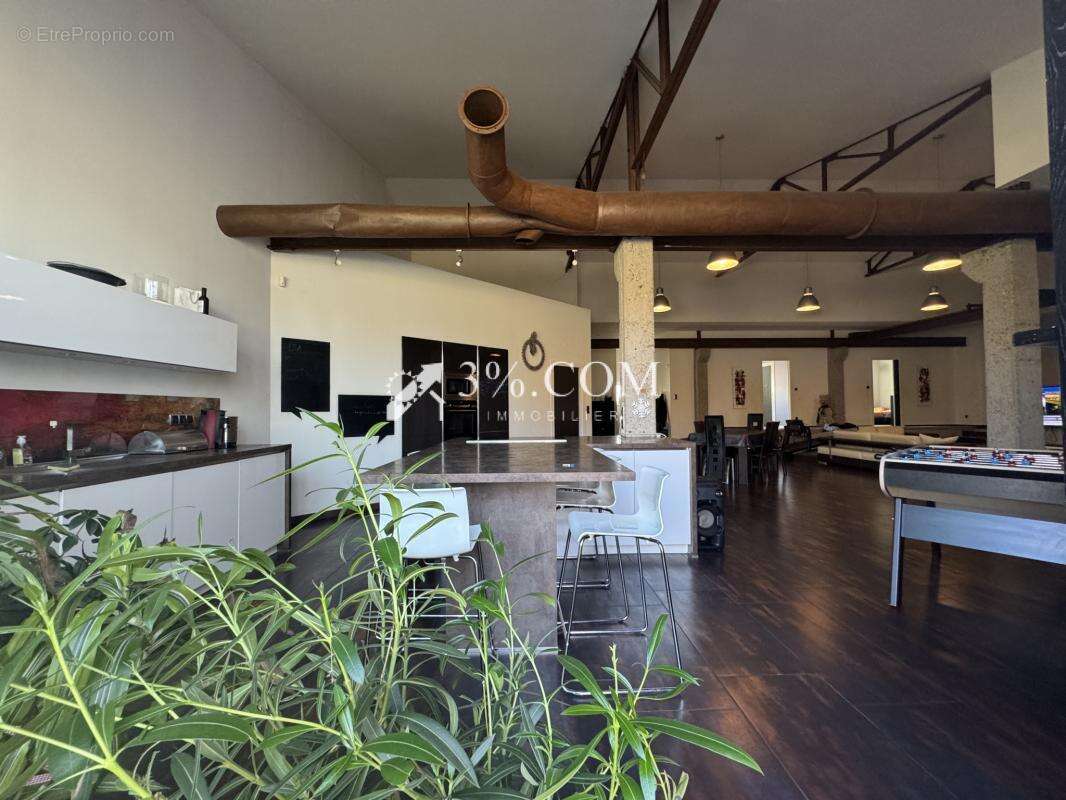 3%COM LOFT industriel   avec jardin sur 10 ares - photo 4