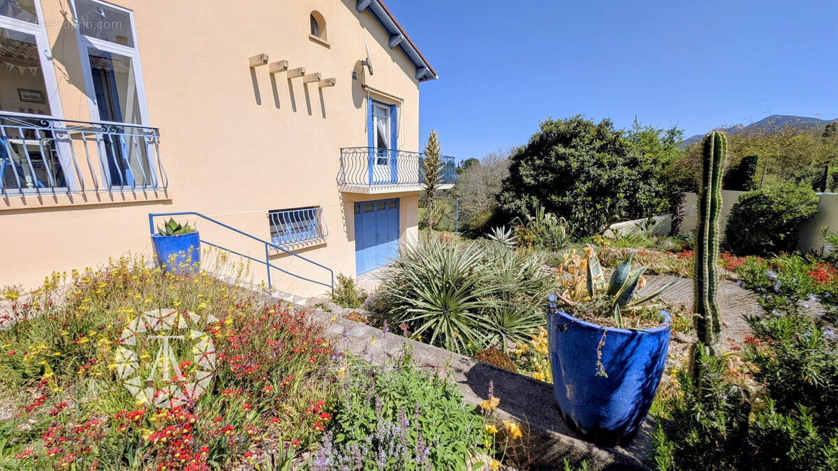 Maison à LAROQUE-DES-ALBERES