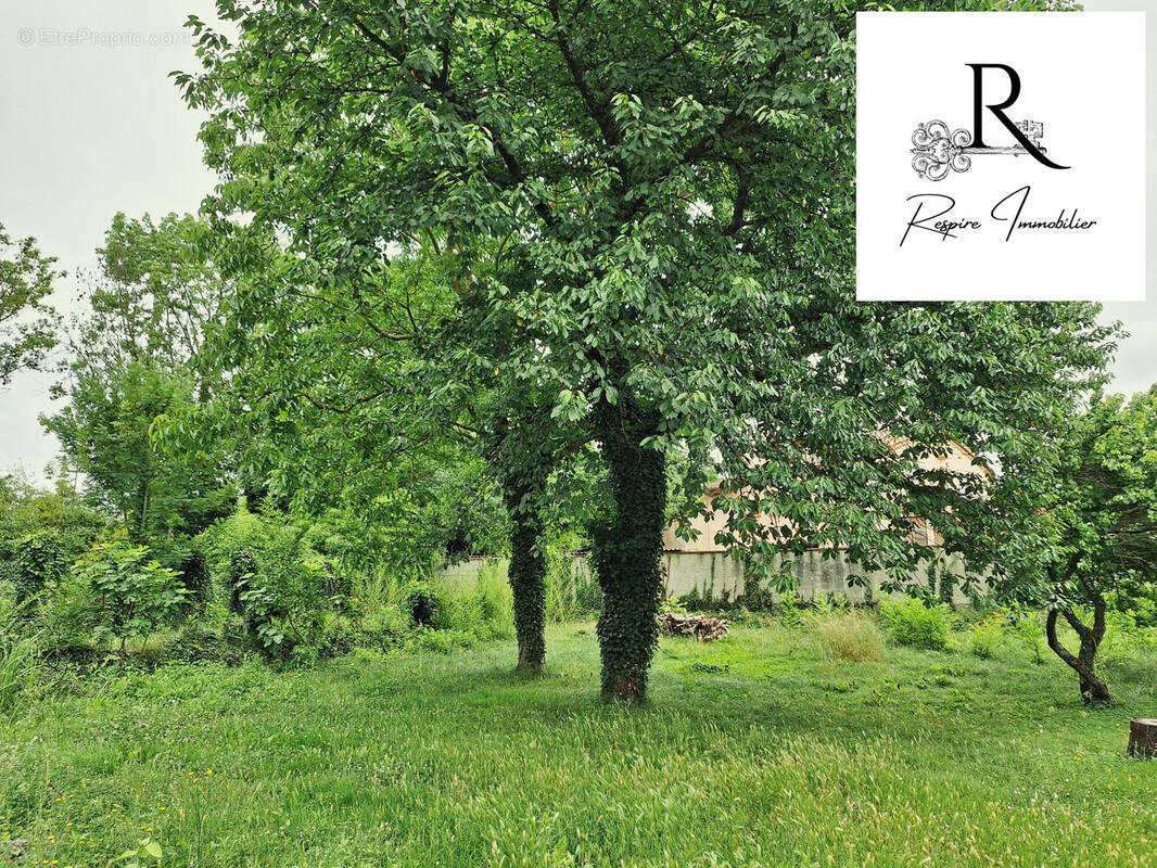 Terrain  - Terrain à PAMIERS