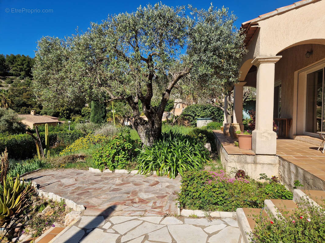 Maison à LA VALETTE-DU-VAR