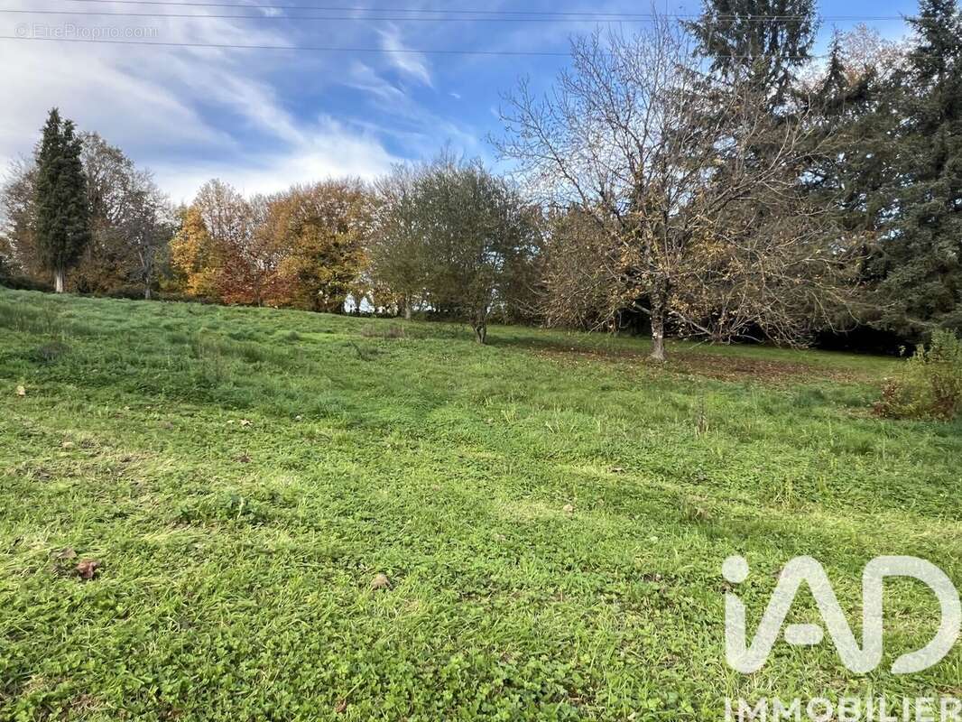 Photo 5 - Terrain à VIGEOIS