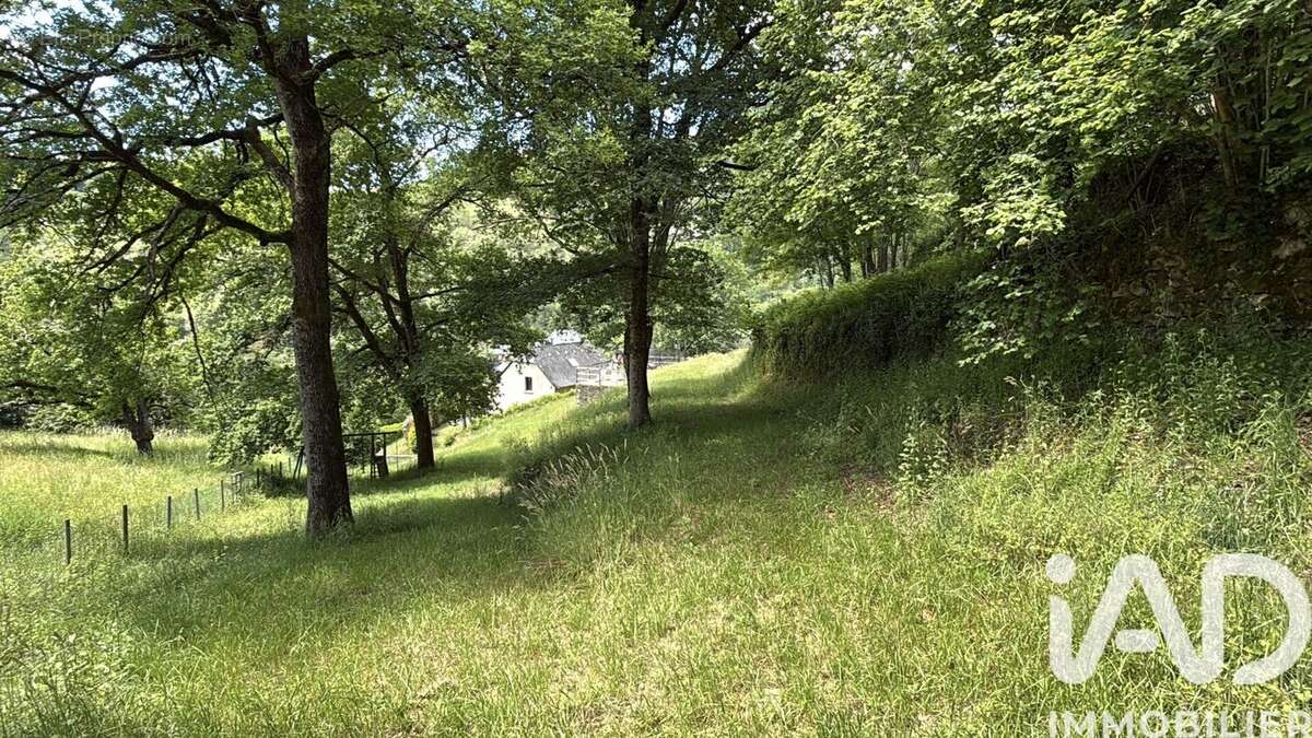 Photo 6 - Maison à ENTRAYGUES-SUR-TRUYERE