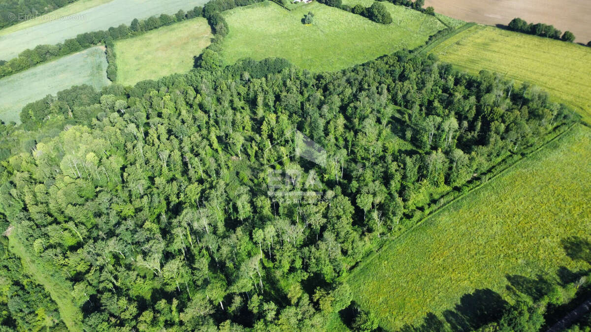 Terrain à THIRON-GARDAIS