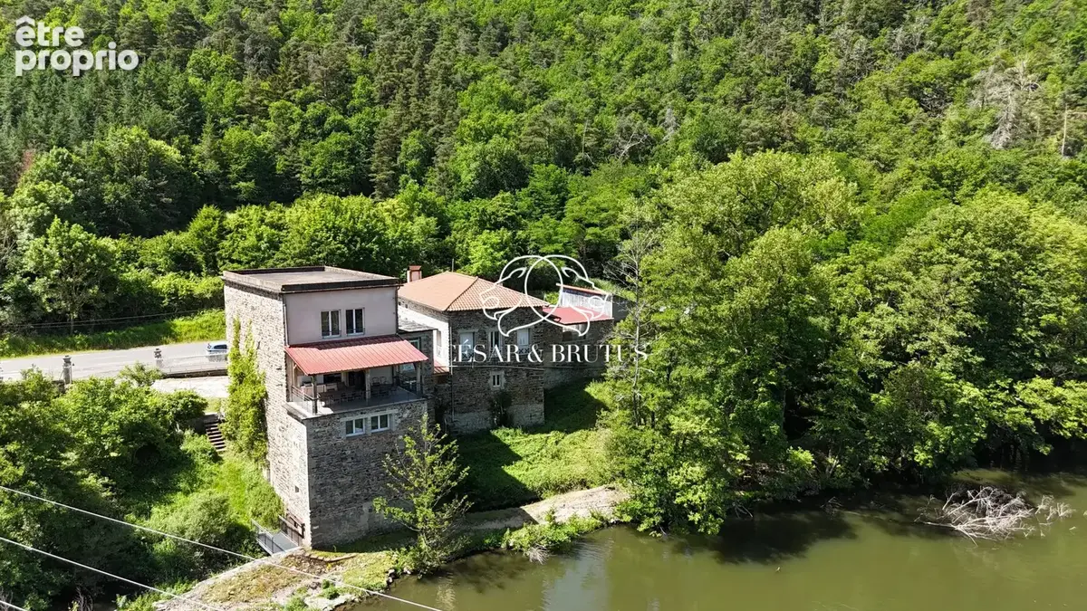 Maison 11 pièces 343 m² à vendre à Saint-Vincent (43800) - photo 2