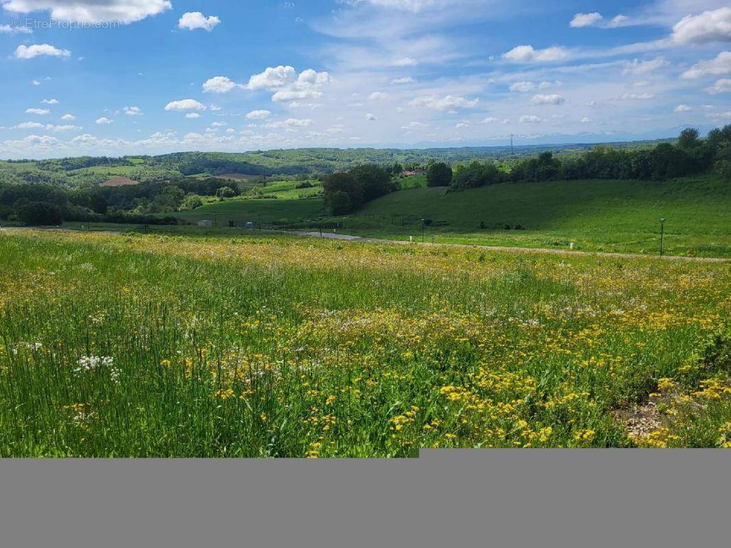Terrain à LASSERAN