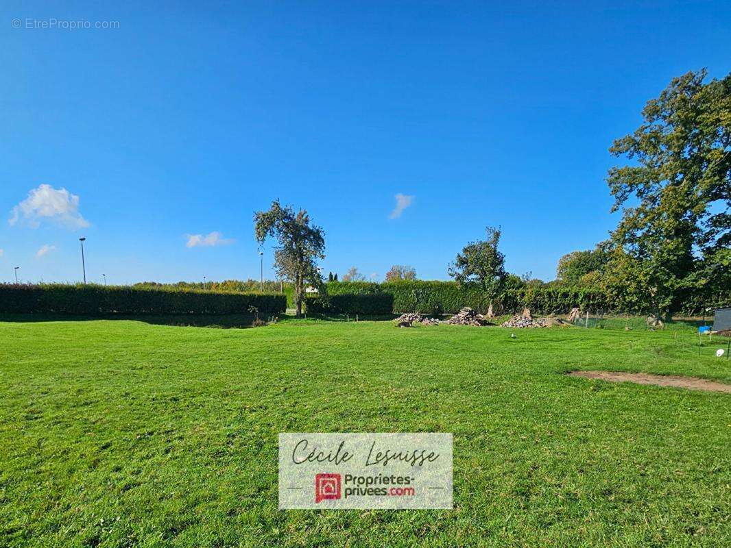 Terrain à SAINT-ANTOINE-LA-FORET