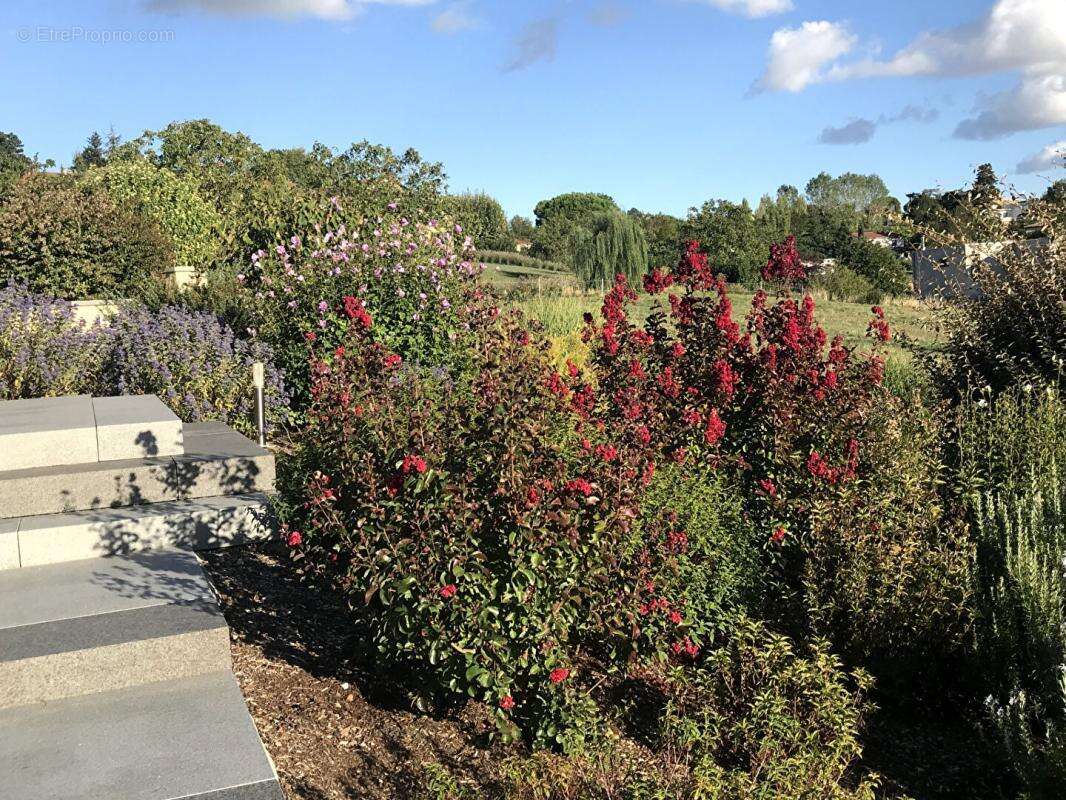 Maison à SAINT-DIDIER-AU-MONT-D'OR