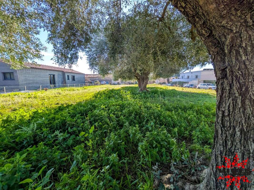 Terrain à POUZOLLES