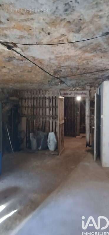 Photo 4 - Maison à LANGEAIS