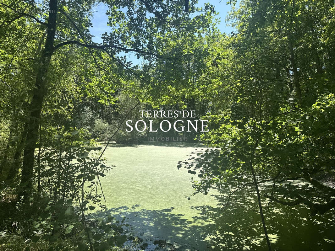 Maison à LIGNY-LE-RIBAULT