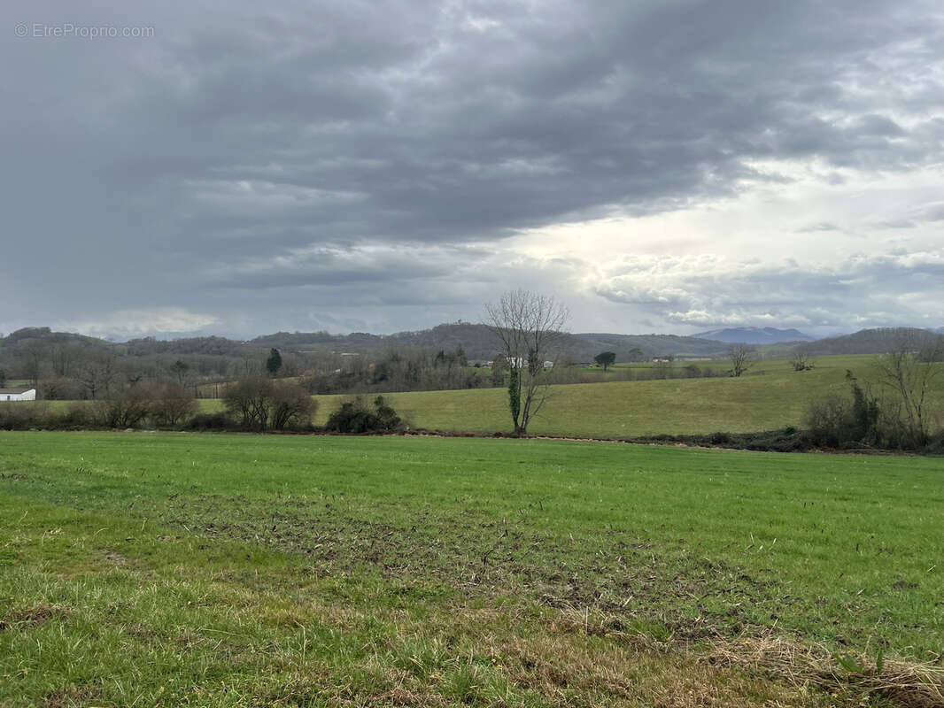 Terrain à AROUE-ITHOROTS-OLHAIBY