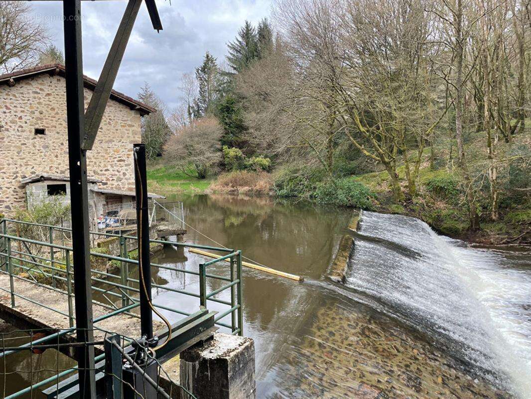Proche de Rochechouart , authentique moulin avec rivière et chute d'eau -cadre naturel exceptionnel- - photo 8