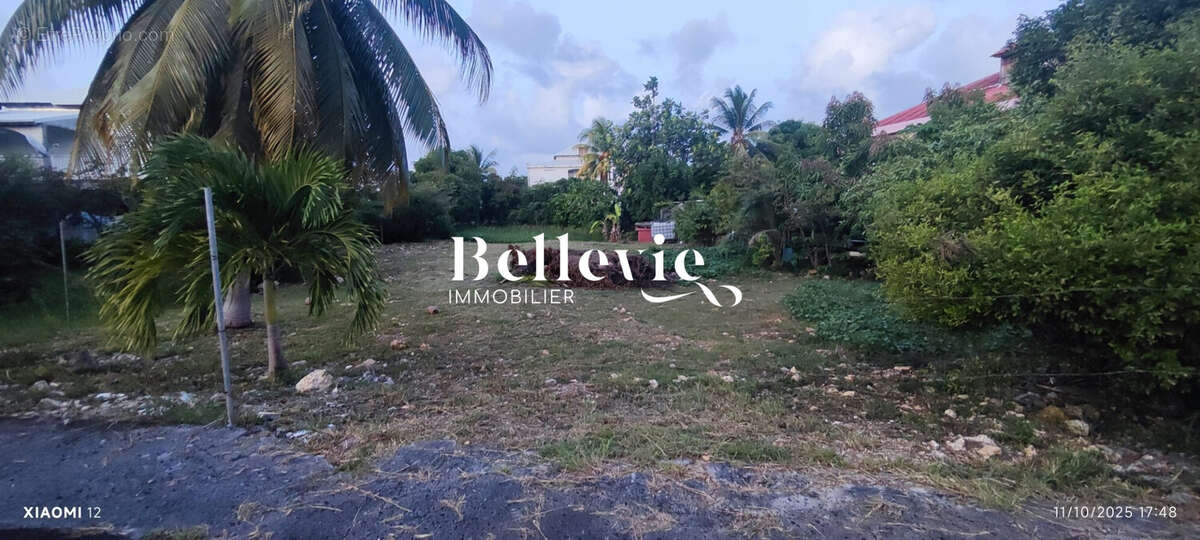 Terrain à ANSE-BERTRAND