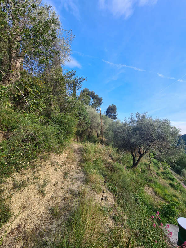 Terrain à MENTON