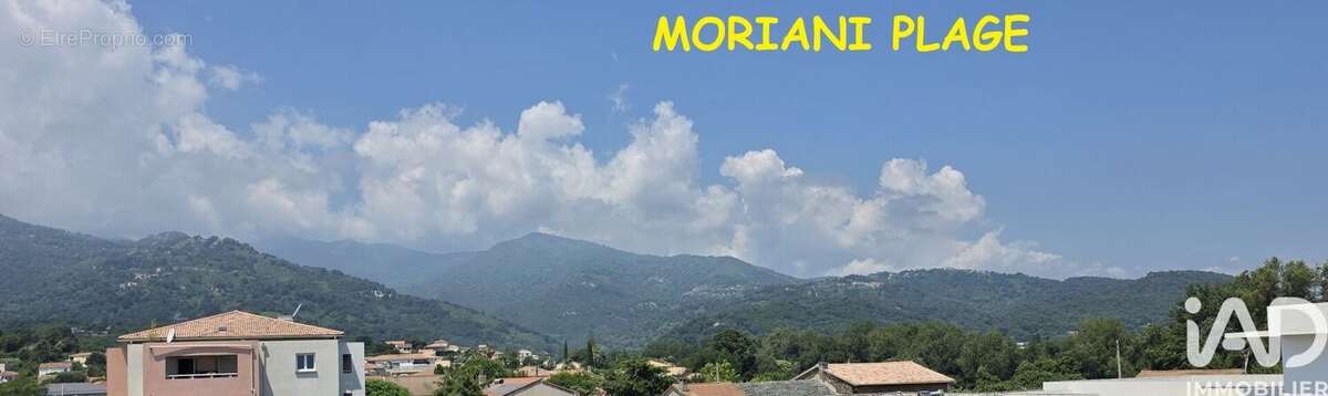 Photo 2 - Appartement à SAN-NICOLAO