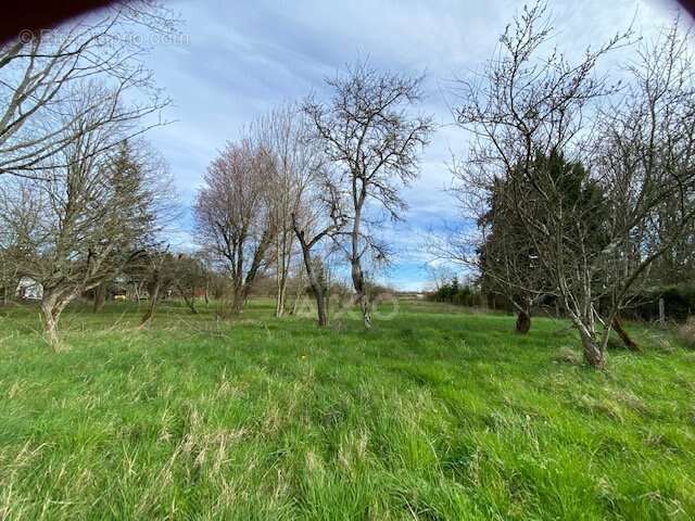 Maison à SAINT-BRISSON-SUR-LOIRE