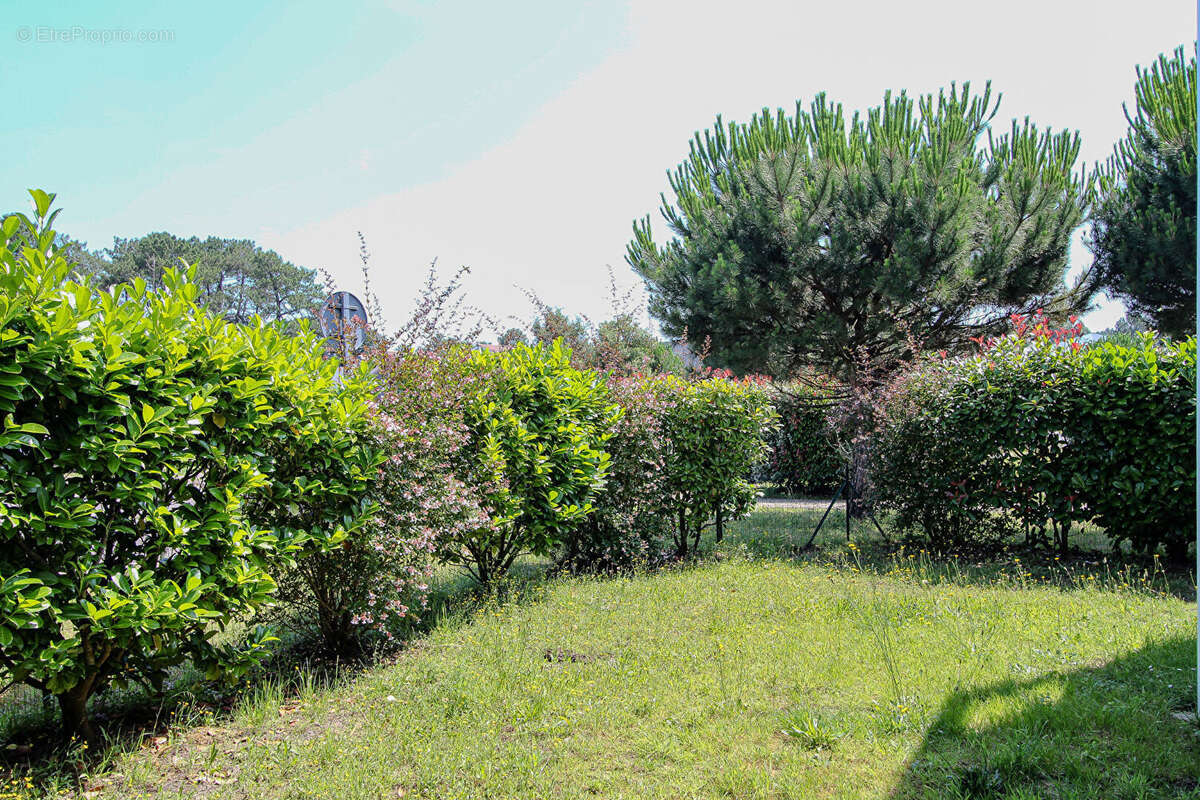Labenne  appartement 2 pieces  terrasse et jardin privatif parking exterieur - photo 4